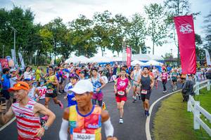 BIB: 
                            <button type="button" onclick="openModal(26550245)" class="btn btn-primary btn-sm float-right btn-popup" data-toggle="modal" data-target=".modal-high-quality">
                        <i class="fas fa-shopping-cart"></i> Add to Cart
                    </button>
                                            <button type="button" onclick="isThisMe(26550245, true)" class="btn btn-success btn-sm float-right btn-popup btn-isme hidden" data-toggle="tooltip" data-placement="bottom" title="นี่คือรูปของคุณใช่ไหม คลิกที่นี่เพื่อเอาเข้าอัลบั้ม">
                        <i class="fas fa-plus"></i> Add to album
                    </button>
                    <button type="button" onclick="isThisMe(26550245, false)" class="btn btn-warning btn-sm float-right btn-popup btn-isnotme hidden">
                        <i class="fas fa-ban"></i> Remove from album
                    </button>